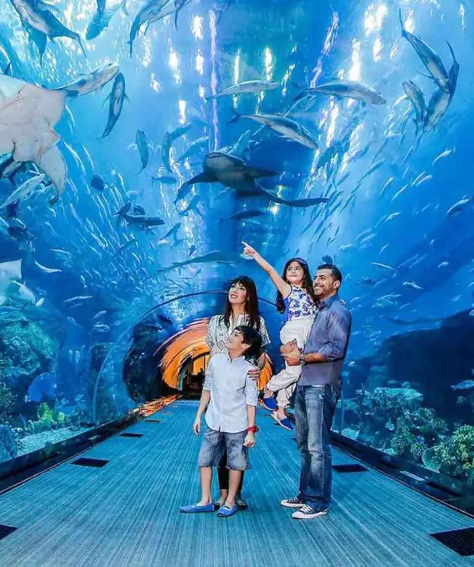 View inside the Dubai Aquarium tunnel with sharks and rays