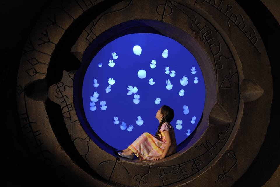 Mysterious marine life at The Lost Chambers Aquarium