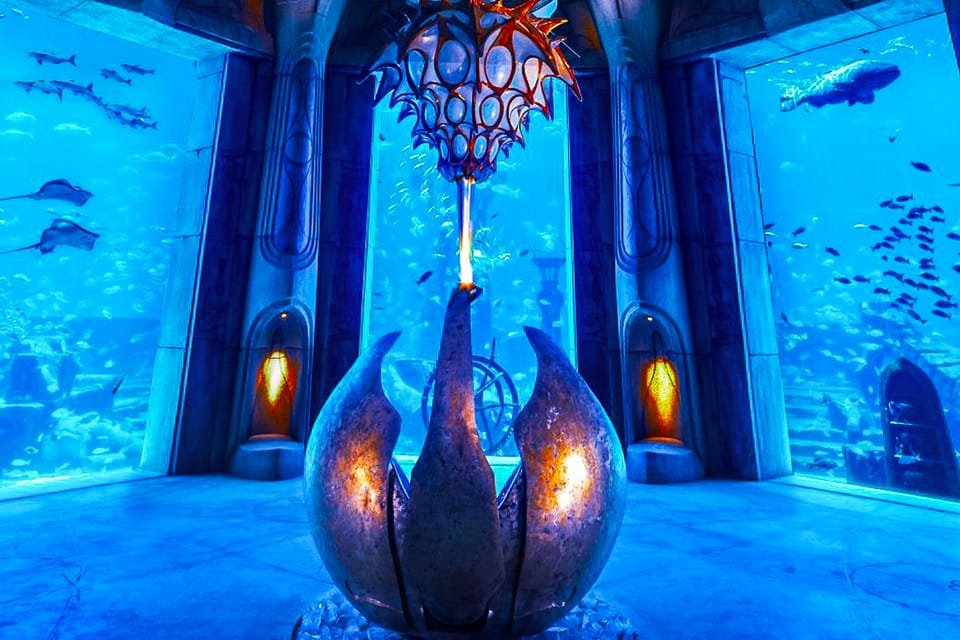 Close-up of marine life in Lost Chambers Aquarium