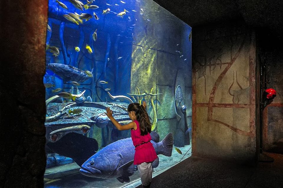 Themed ruins inside Lost Chambers Aquarium