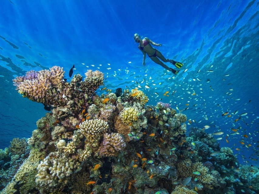Beginner scuba divers in Dubai
