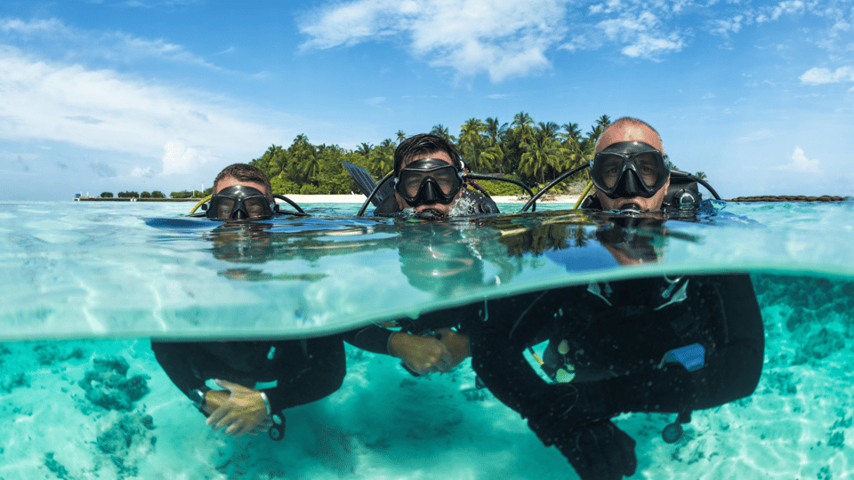 Marine life in Dubai