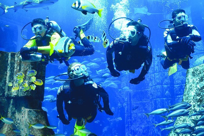 Snorkeling among fish in The Lost Chambers Aquarium