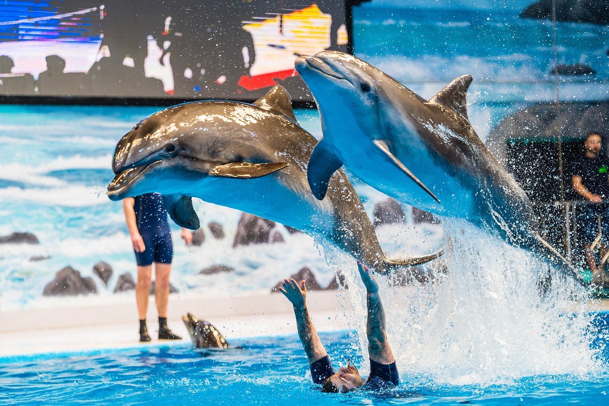 Dubai Dolphinarium exterior