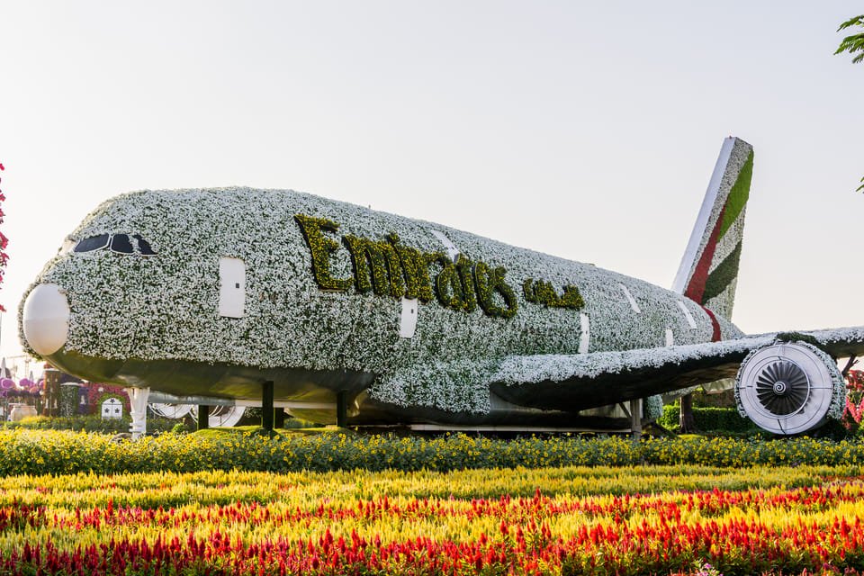 Dubai Miracle Garden floral display