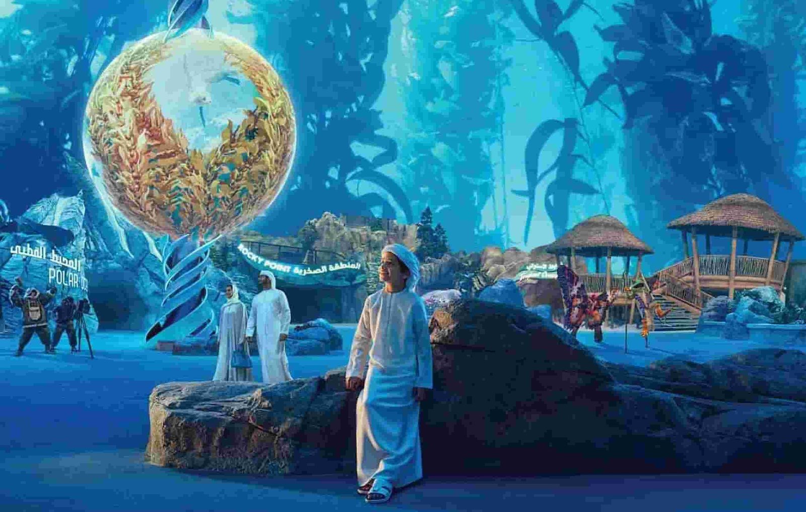 Dolphin Shows at SeaWorld