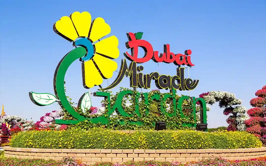 Colorful flower arrangements at Dubai Miracle Garden
