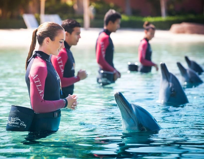 The View at The Palm