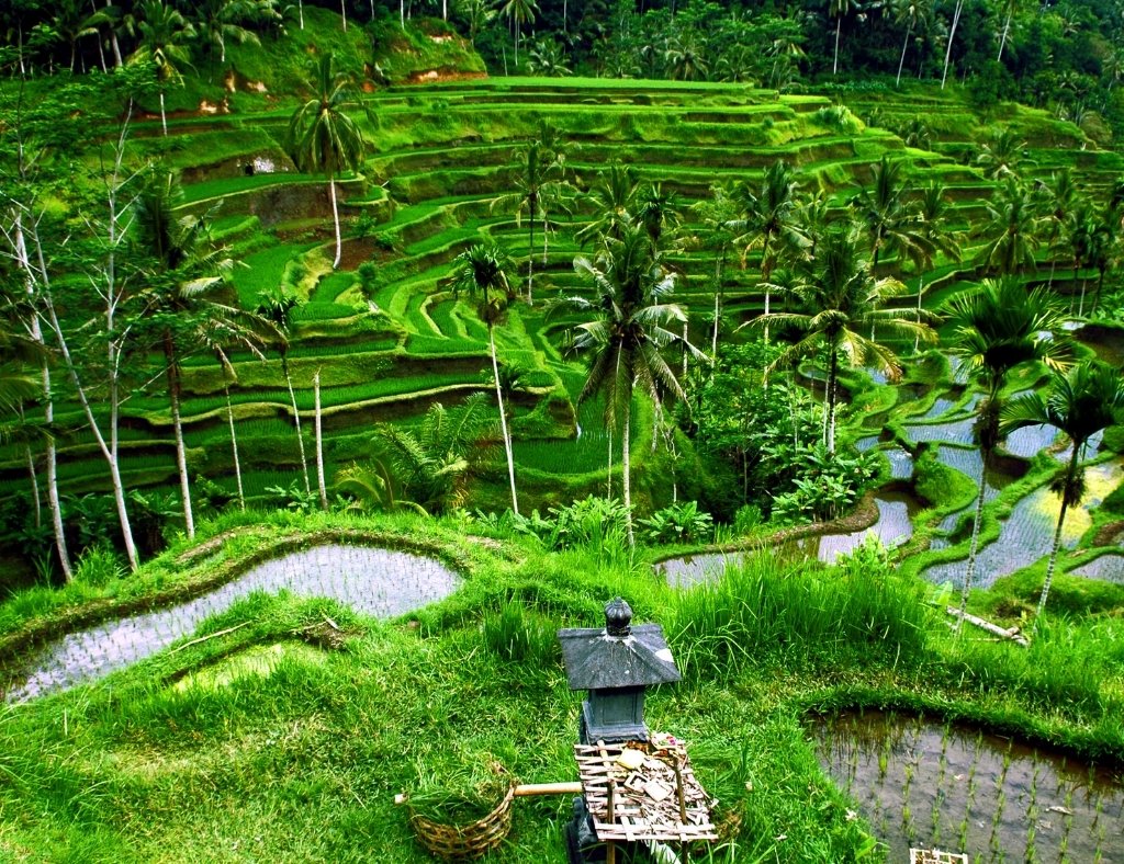 Bali Fully Loaded 5 Nights / 6 Days