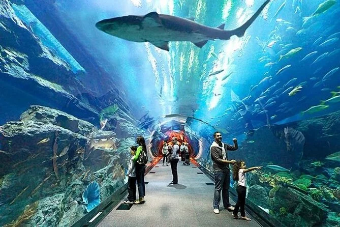 Dubai Underwater Zoo Exhibit