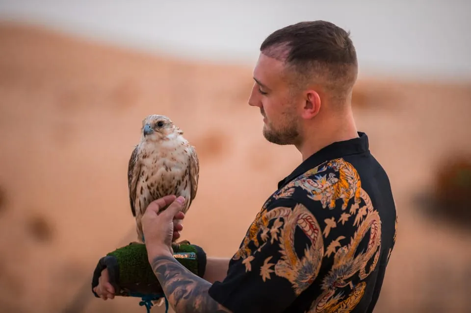 Falcon photo opportunity