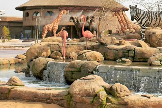 Dubai Safari Park